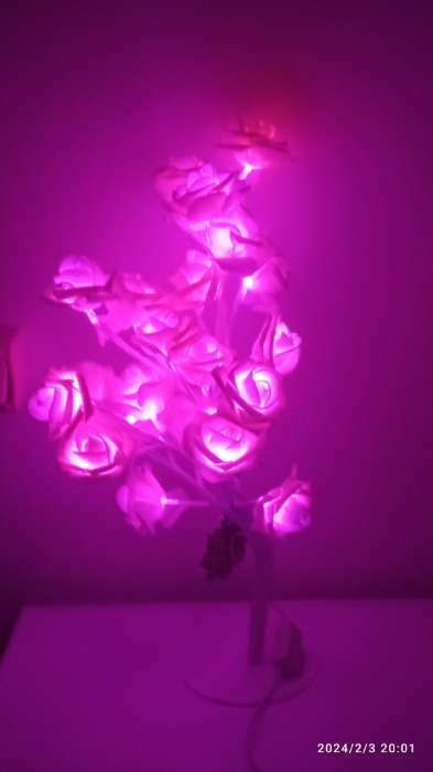 Фотография покупателя товара Светодиодный куст «Розы белые» 45 см, 24 LED, постоянное свечение, 220 В, свечение белое - Фото 1