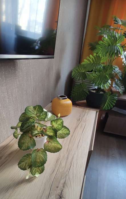 Фотография покупателя товара Искусственный цветок в горшке «Сингониум ред», 9×17 см - Фото 2