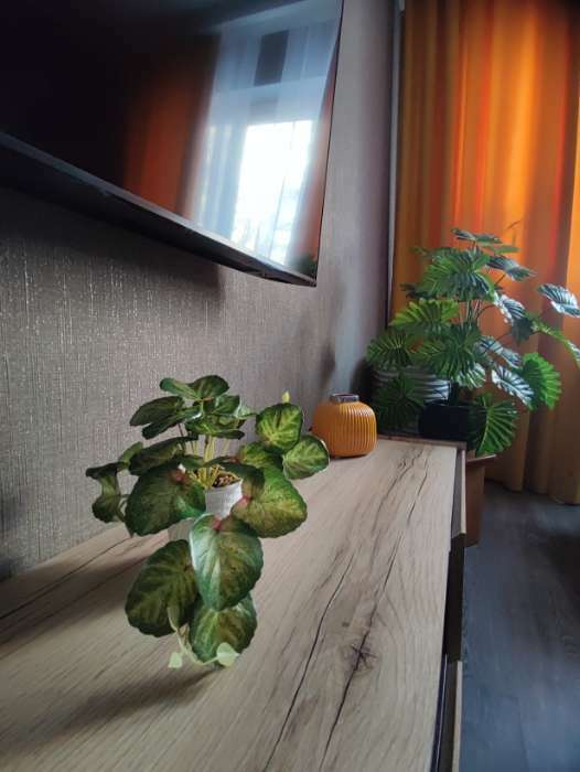 Фотография покупателя товара Искусственный цветок в горшке «Сингониум ред», 9×17 см - Фото 1