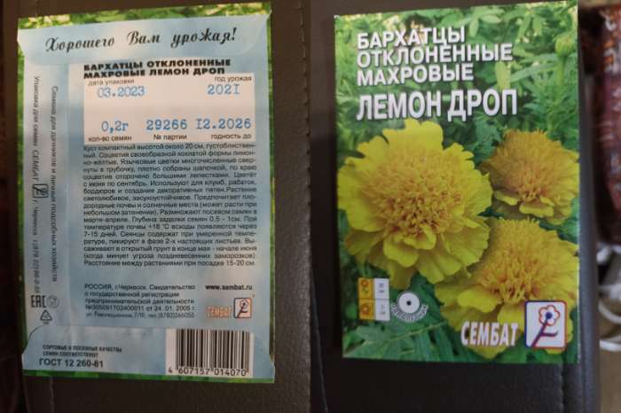Фотография покупателя товара Семена цветов Бархатцы отклоненные  "Лемон Дроп", махровые,  0,2 г - Фото 3