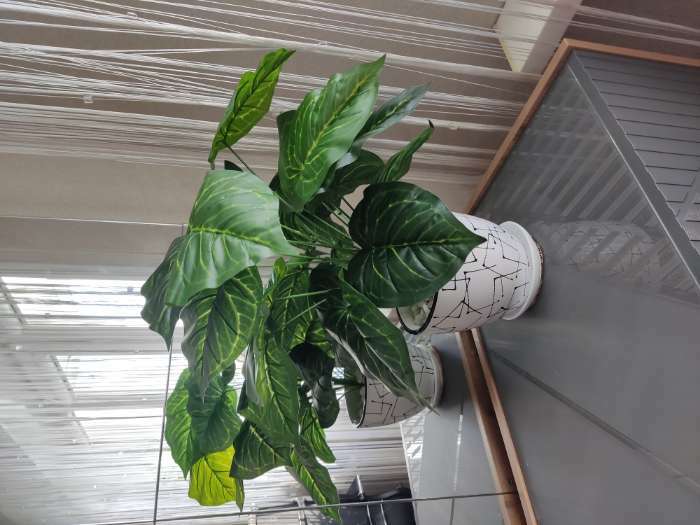 Фотография покупателя товара Куст искусственный «Сингониум», h=65 см