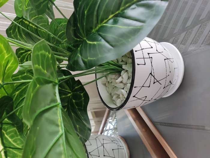 Фотография покупателя товара Куст искусственный «Сингониум», h=65 см