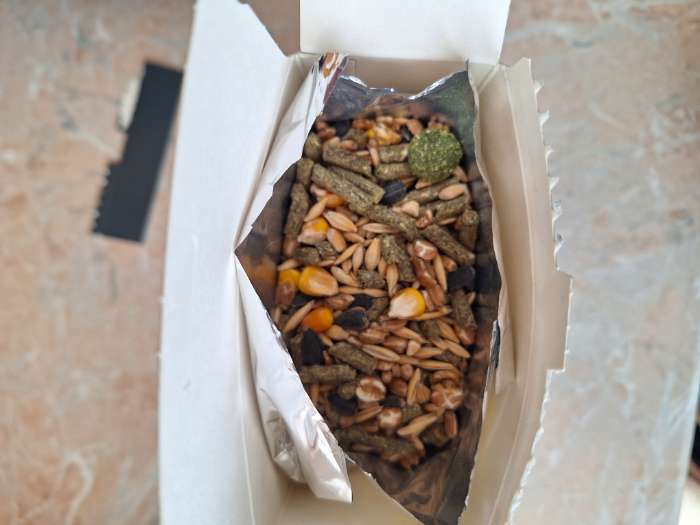 Фотография покупателя товара Корм «Пижон» для морских свинок, с орехами, 400 г - Фото 2