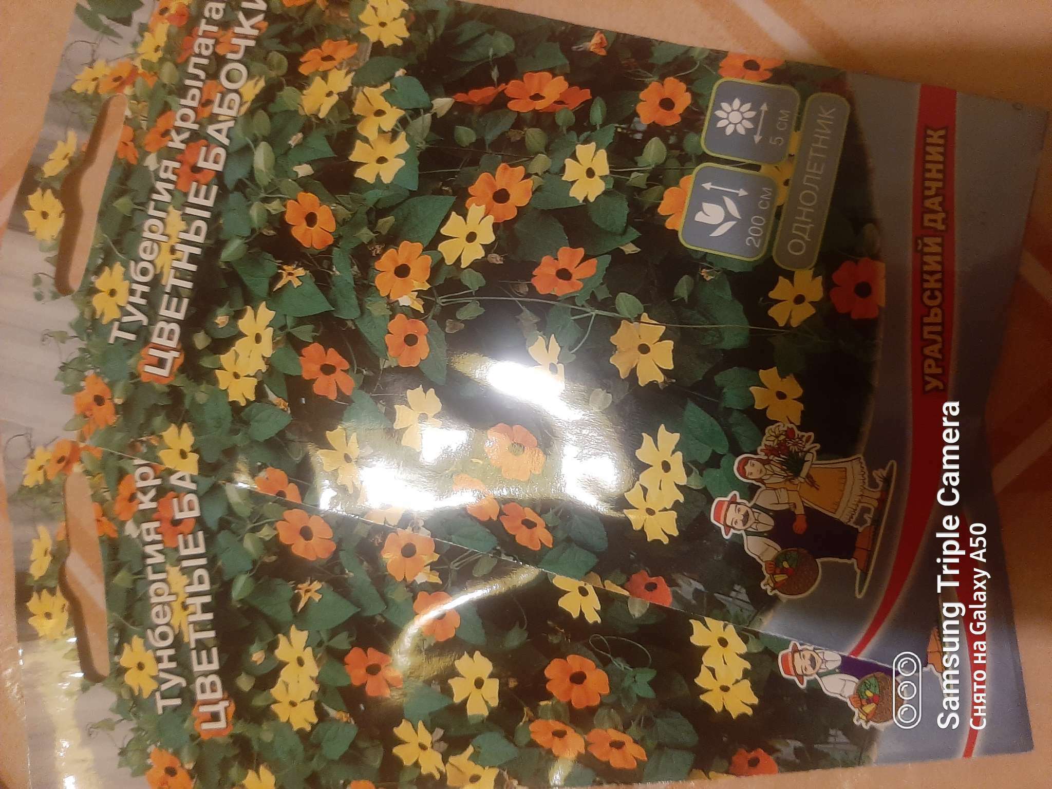 Фотография покупателя товара Семена Цветов Тунбергия крылатая "Цветные бабочки"   ,0 ,15 г  , - Фото 2