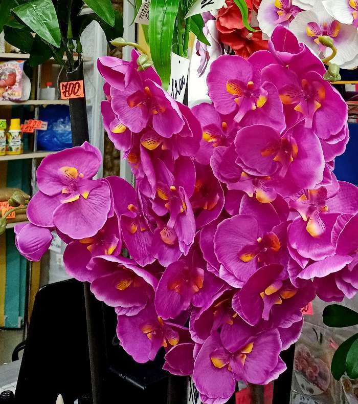 Фотография покупателя товара Цветы искусственные "Орхидея молди" 9х66 см, белый - Фото 4