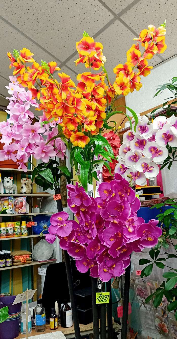 Фотография покупателя товара Цветы искусственные "Орхидея молди" 9х66 см, бело-фиолетовый - Фото 1