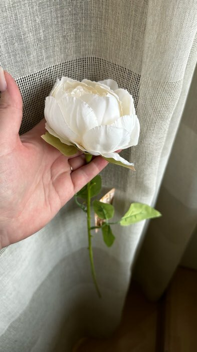 Фотография покупателя товара Цветы искусственные "Роза Эстетика" 7х65 см, белый - Фото 1