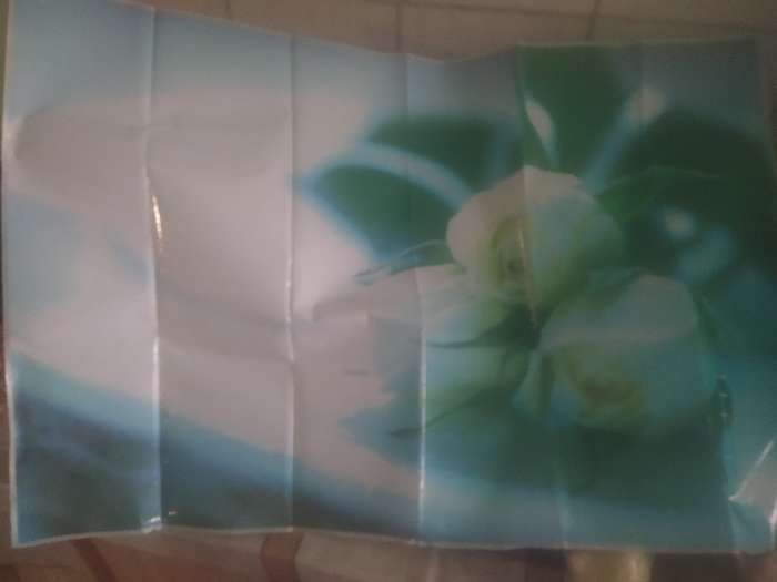 Фотография покупателя товара Наклейка пластик на кафельную плитку Белые розы 90*60 см - Фото 1