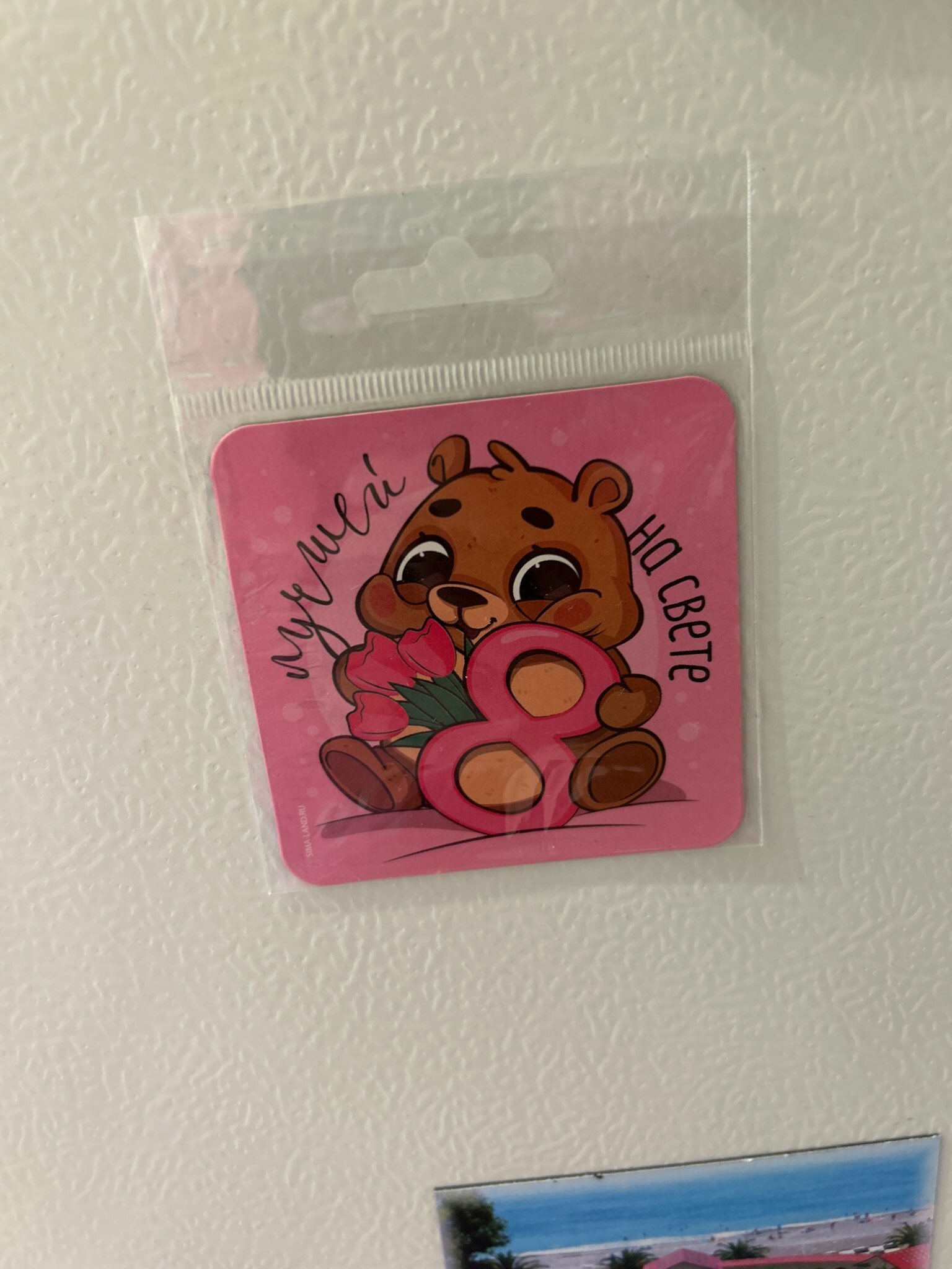 Фотография покупателя товара Магнит на холодильник «Мишка. 8 марта», 7×7 см - Фото 2