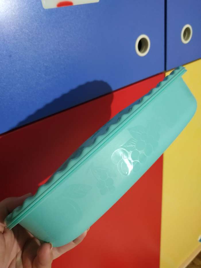 Фотография покупателя товара Миска с крышкой, 1,5 л, 16,5×28×6,5 см, цвет аквамарин - Фото 10