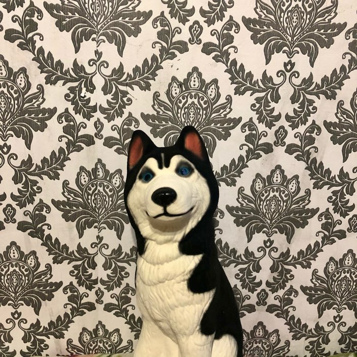 Фотография покупателя товара Копилка "Собака Хаски", белый цвет, флок, керамика, 39 см - Фото 4