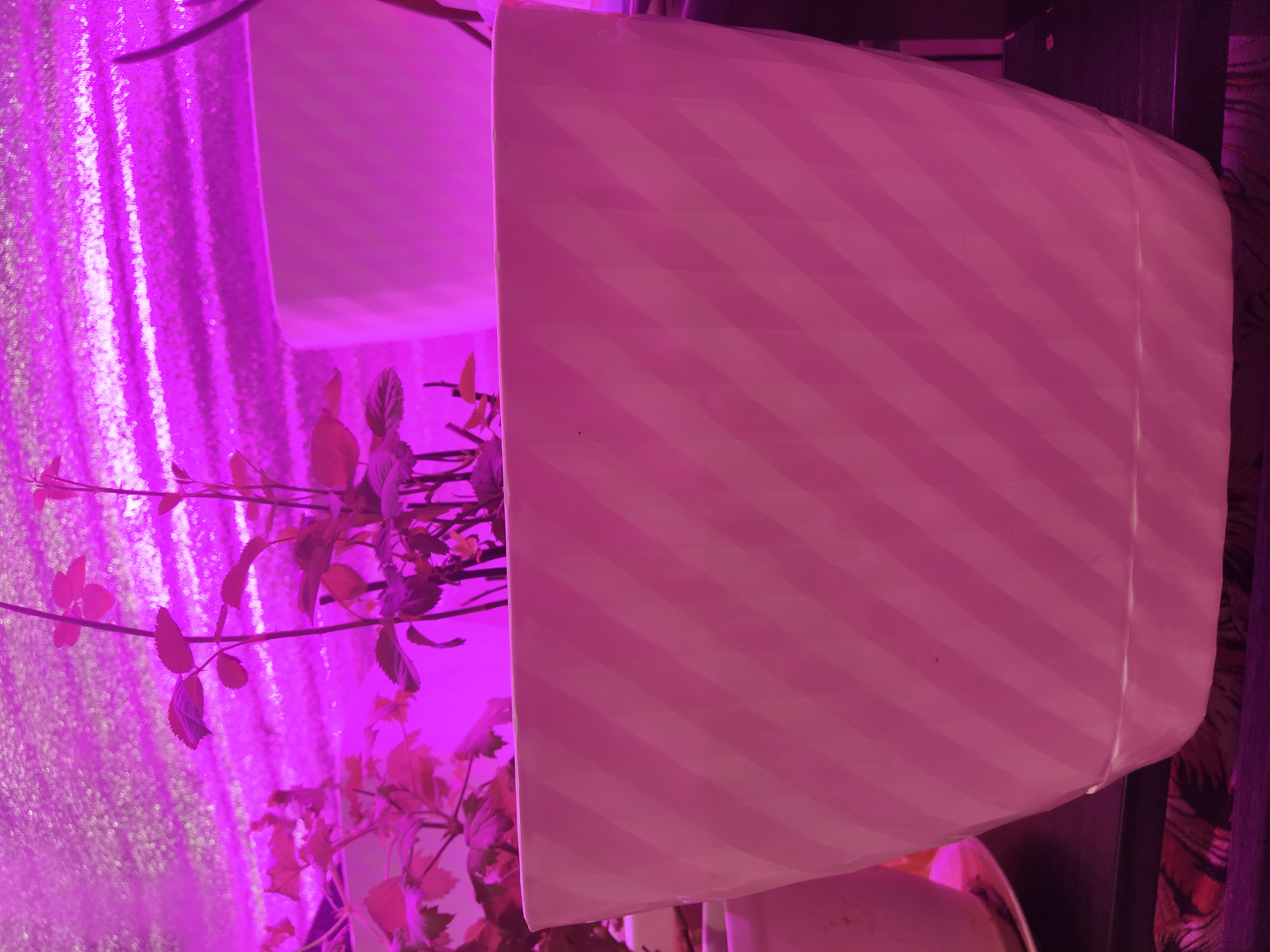 Фотография покупателя товара Горшок с поддоном «Классика», 4,5 л, цвет белый - Фото 7