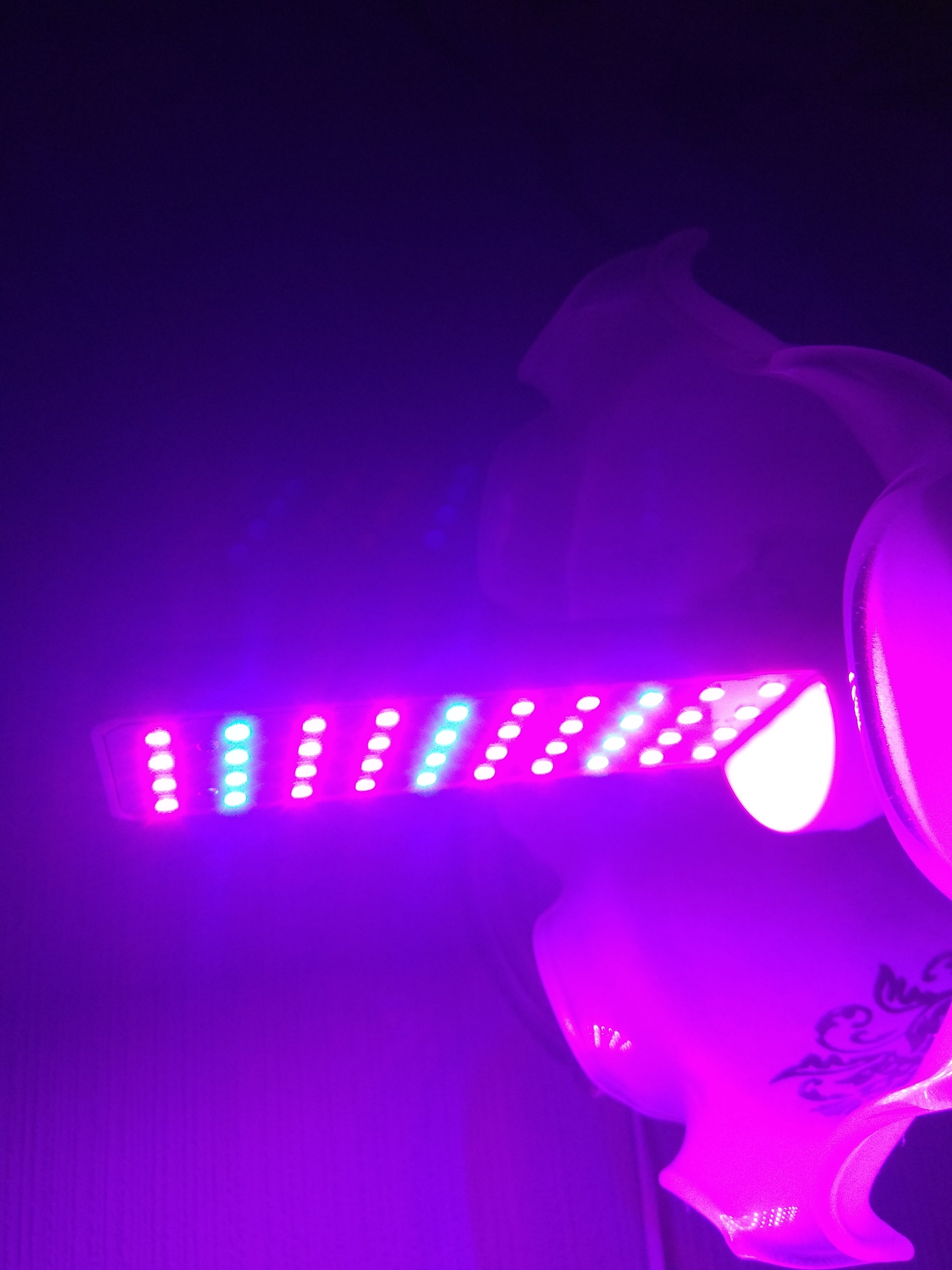 Фотография покупателя товара Фитолампа светодиодная Luazon, E27, 8 Вт, IP44, 220 В, биколорная - Фото 7