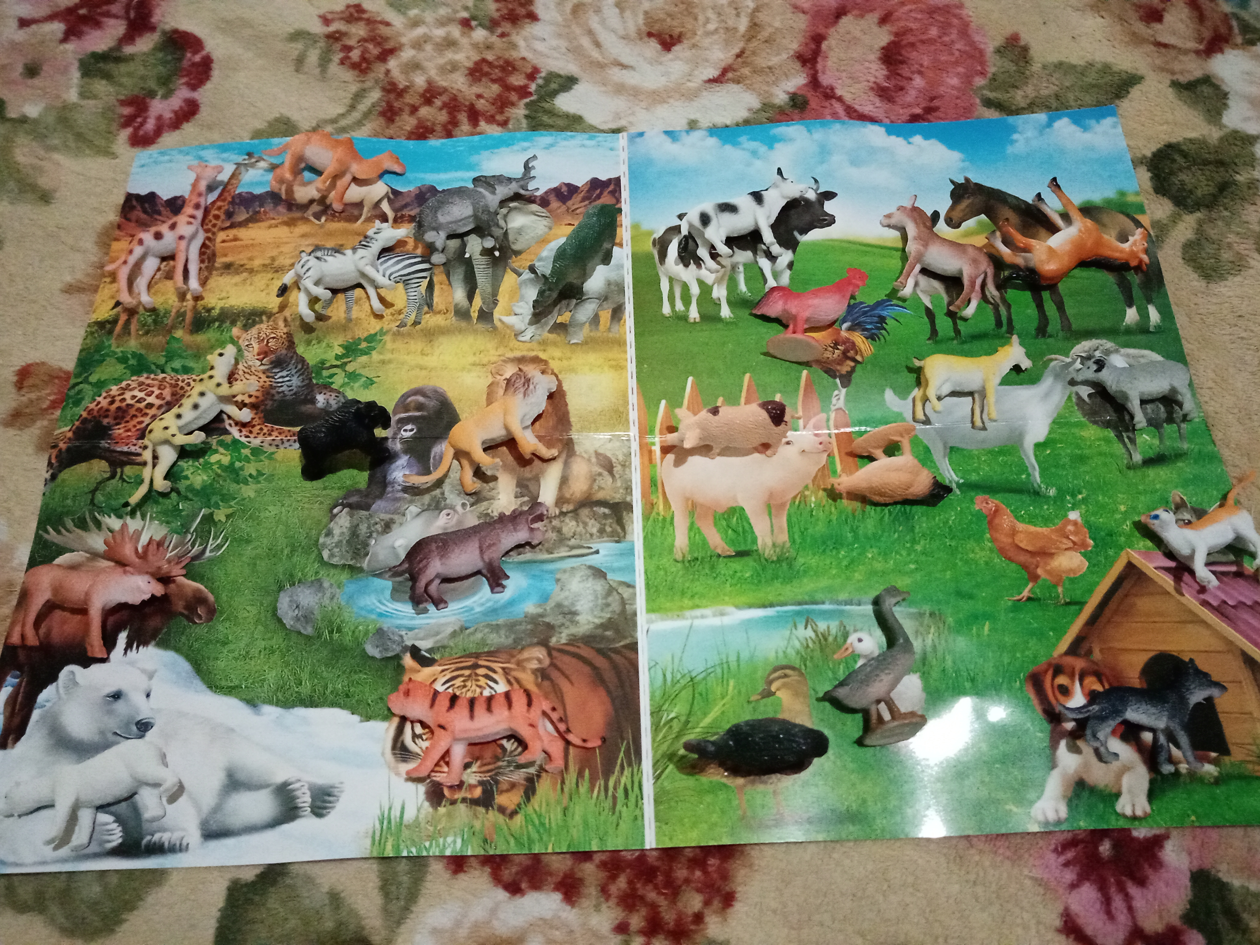 Фотография покупателя товара Обучающий набор «Весёлые животные»: животные и плакат, по методике Монтессори - Фото 17