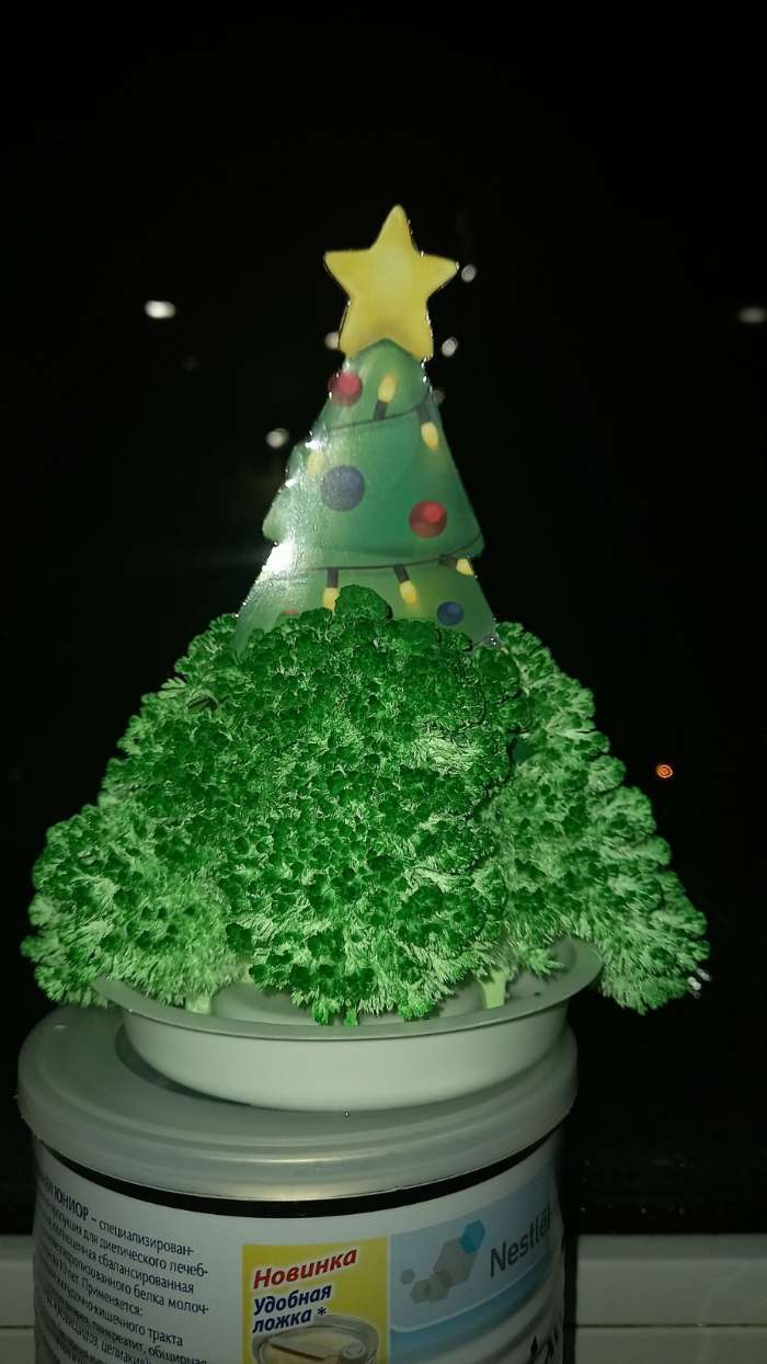 Фотография покупателя товара Новогодний набор для творчества. Выращивание кристаллов «Новый год! Ёлочка», цвет зелёный - Фото 7
