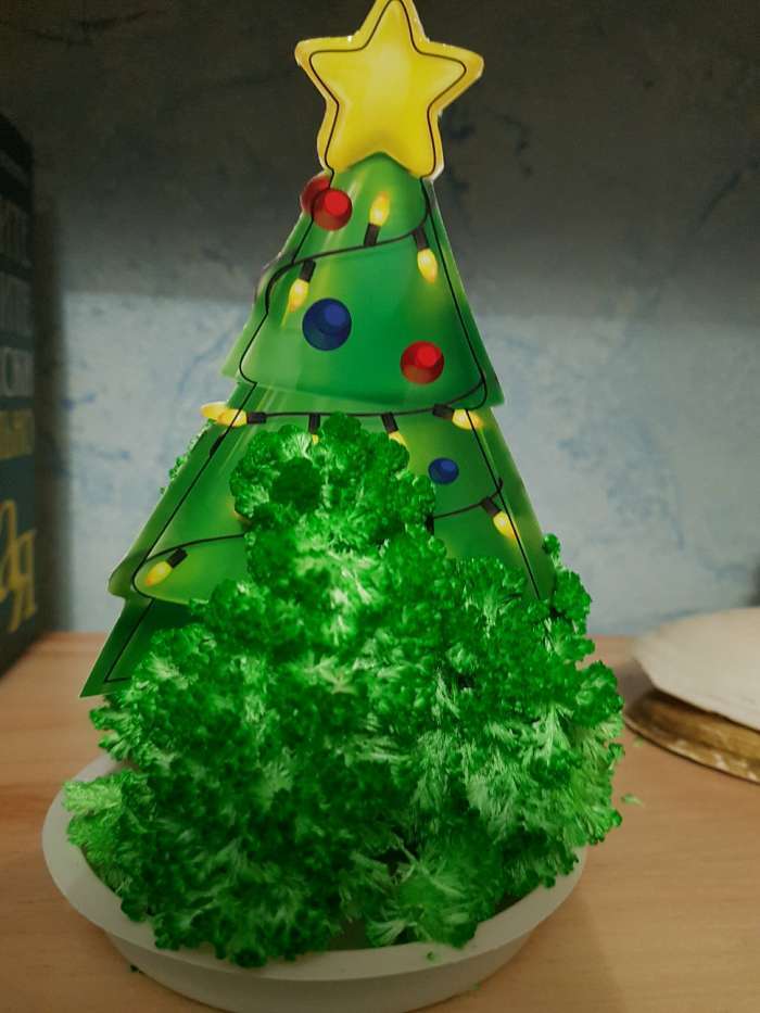 Фотография покупателя товара Новогодний набор для творчества. Выращивание кристаллов «Новый год! Ёлочка», цвет зелёный - Фото 3
