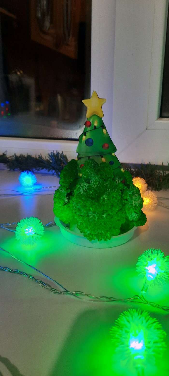 Фотография покупателя товара Новогодний набор для творчества. Выращивание кристаллов «Новый год! Ёлочка», цвет зелёный - Фото 6
