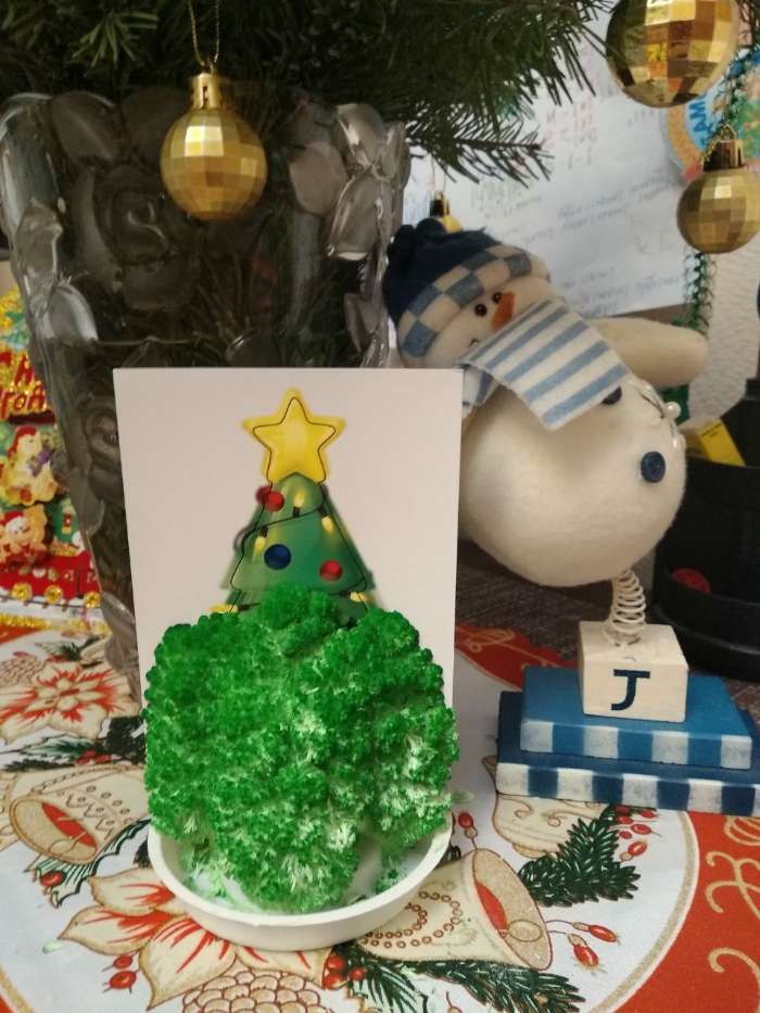 Фотография покупателя товара Новогодний набор для творчества. Выращивание кристаллов «Новый год! Ёлочка», цвет зелёный - Фото 5