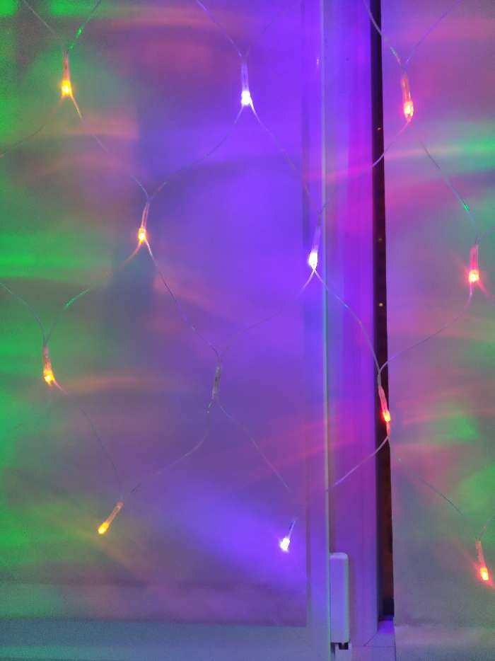 Фотография покупателя товара Гирлянда «Сеть» 2 × 2 м, IP20, тёмная нить, 224 LED, свечение мульти, 8 режимов, 220 В - Фото 31