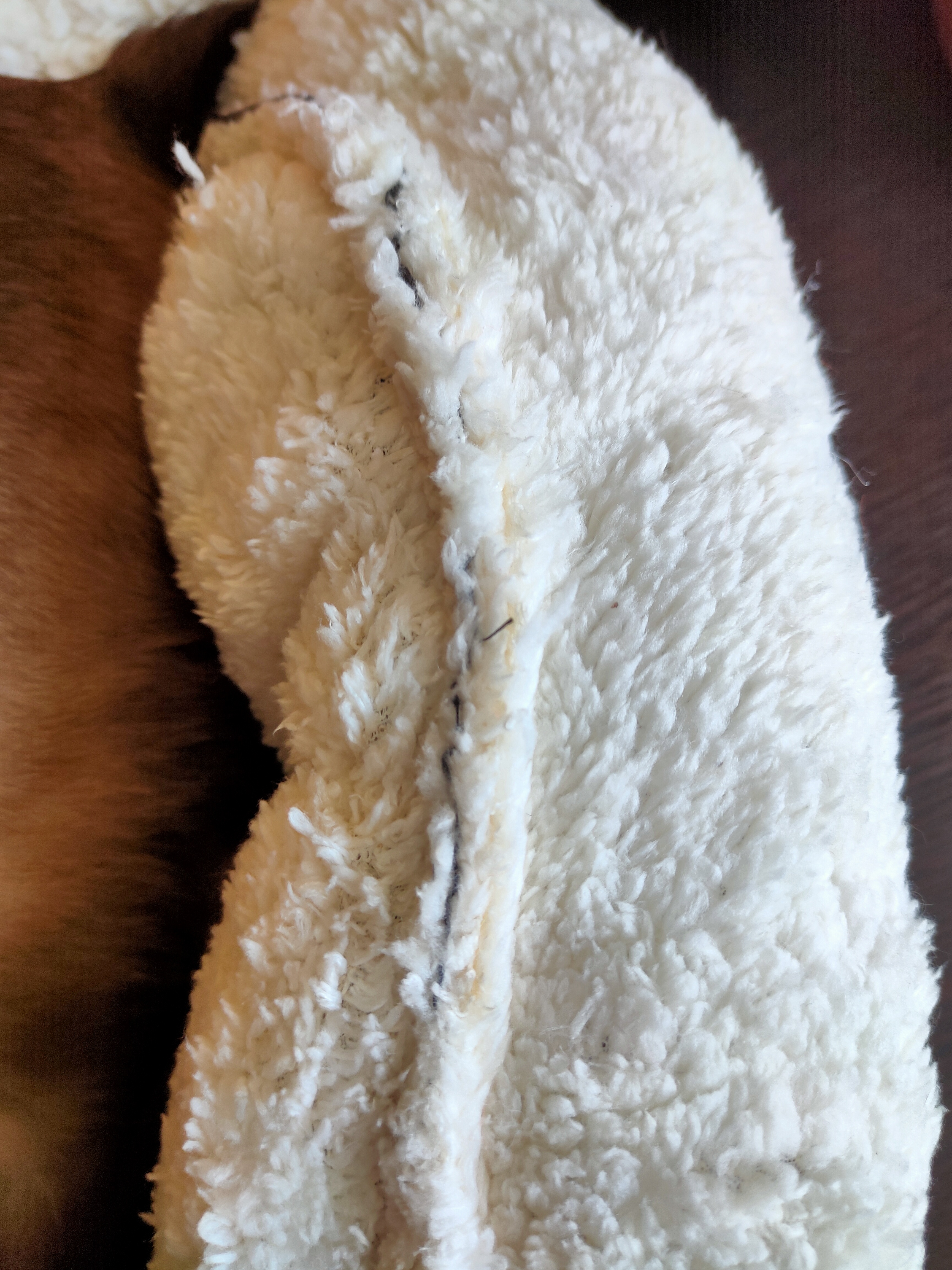 Фотография покупателя товара Лежанка для собак и кошек «Уют», мягкий мех, 45 х 35 х 11 см, молочный - Фото 129
