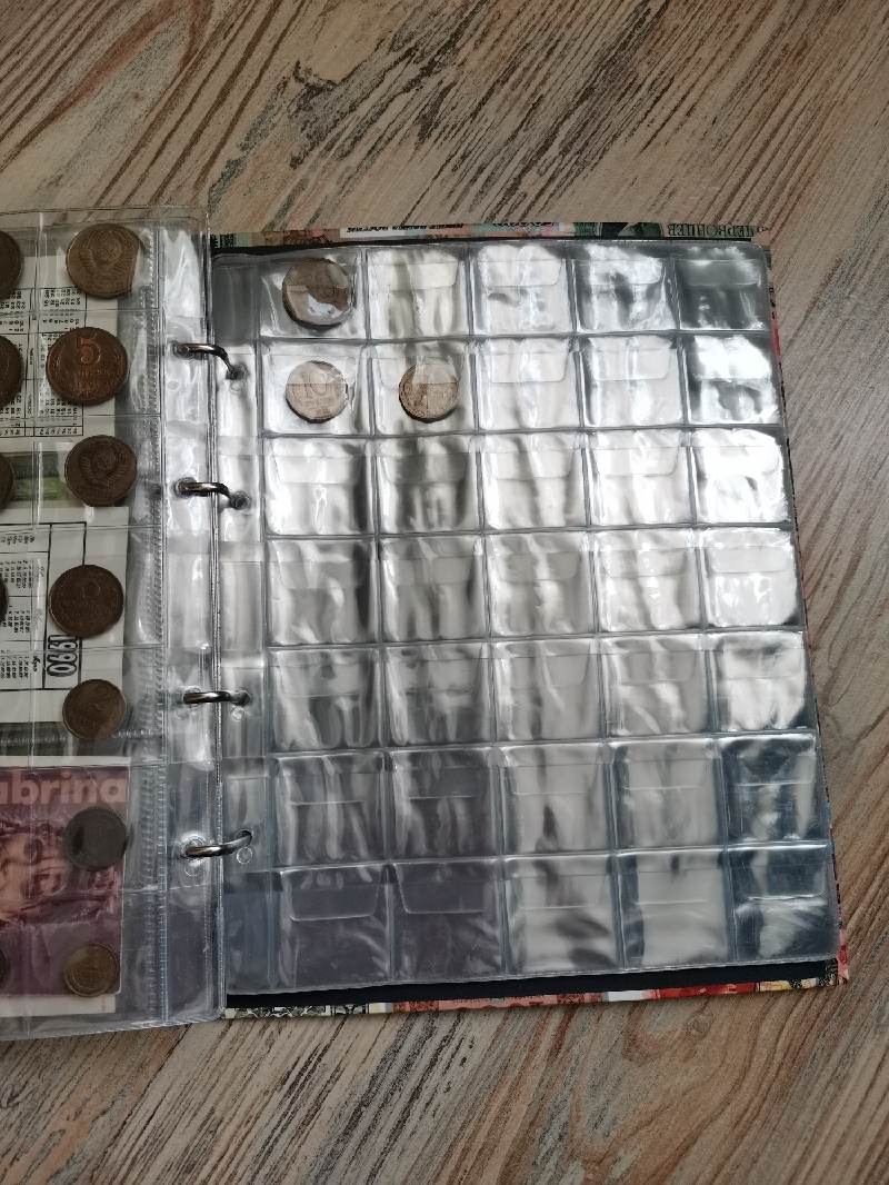 Фотография покупателя товара Лист для монет, формат Оптима, 200 х 250 мм, на 35 ячеек 35 х 35 мм - Фото 1
