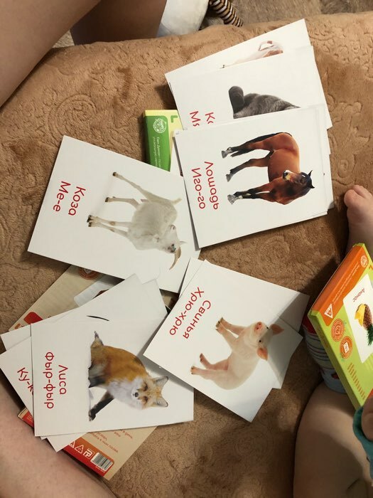 Фотография покупателя товара Обучающие карточки по методике Глена Домана «Что говорят животные?», 12 карт, А6, в коробке - Фото 1