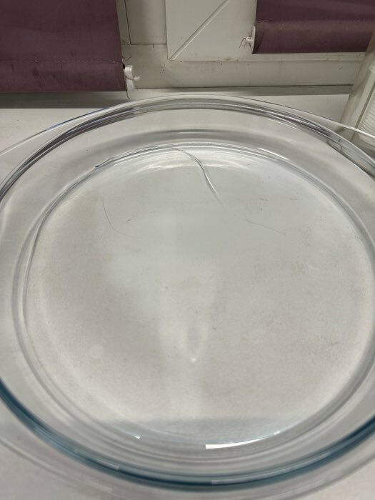 Фотография покупателя товара Кастрюля из жаропрочного стекла для запекания Доляна «Фуэго», 3 л, 30,8×26,7×12 см, с крышкой - Фото 3