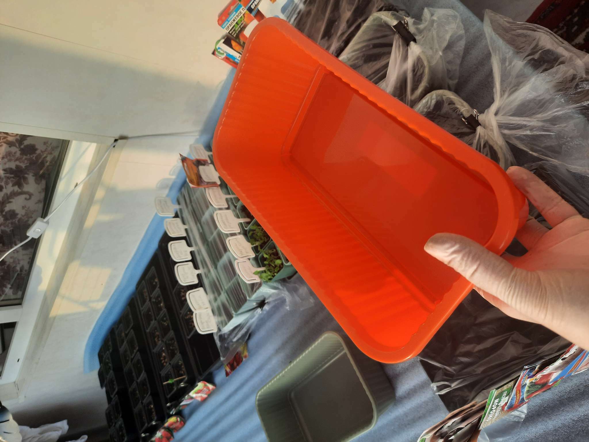 Фотография покупателя товара Ящик для цветов, 28.5×15.5×8.5 см, 2.5 л, пластик, зелёный, Greengo - Фото 8