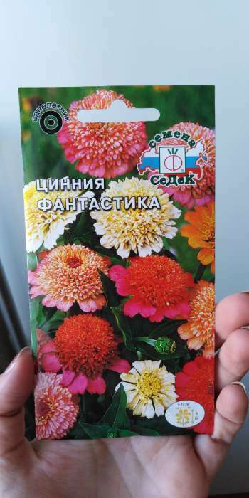 Фотография покупателя товара Семена цветов Цинния "Фантастика", - Фото 3
