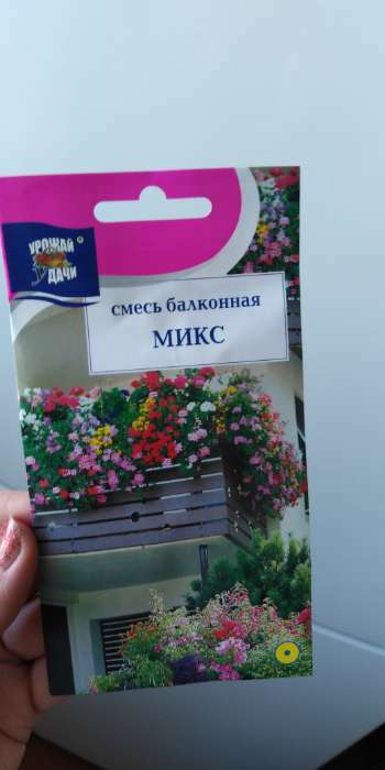 Фотография покупателя товара Семена цветов Смесь Балконная, Микс, 0,3 г - Фото 4