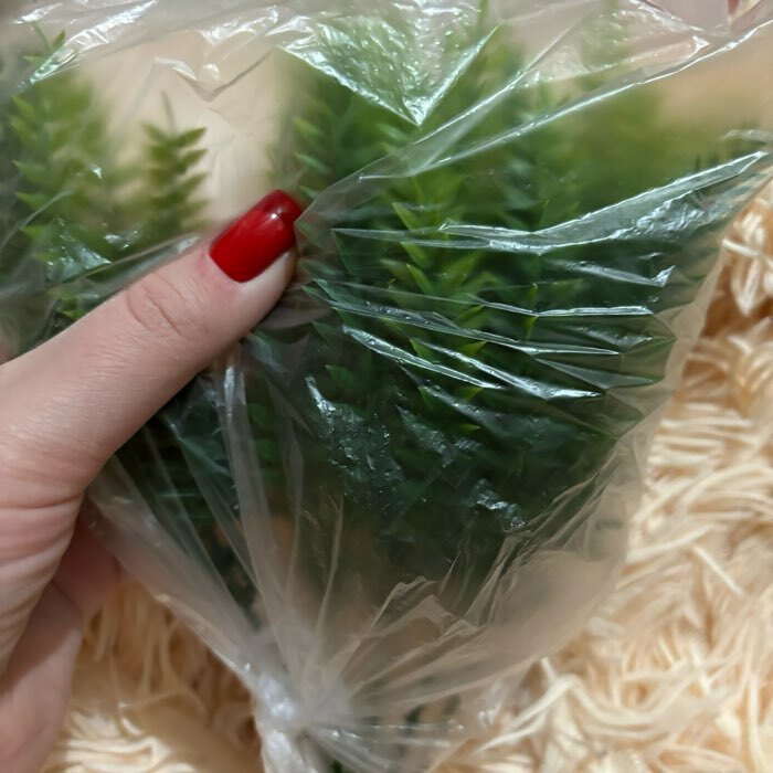 Фотография покупателя товара Букет искусственный «Папоротник пышный», h=22 см - Фото 5