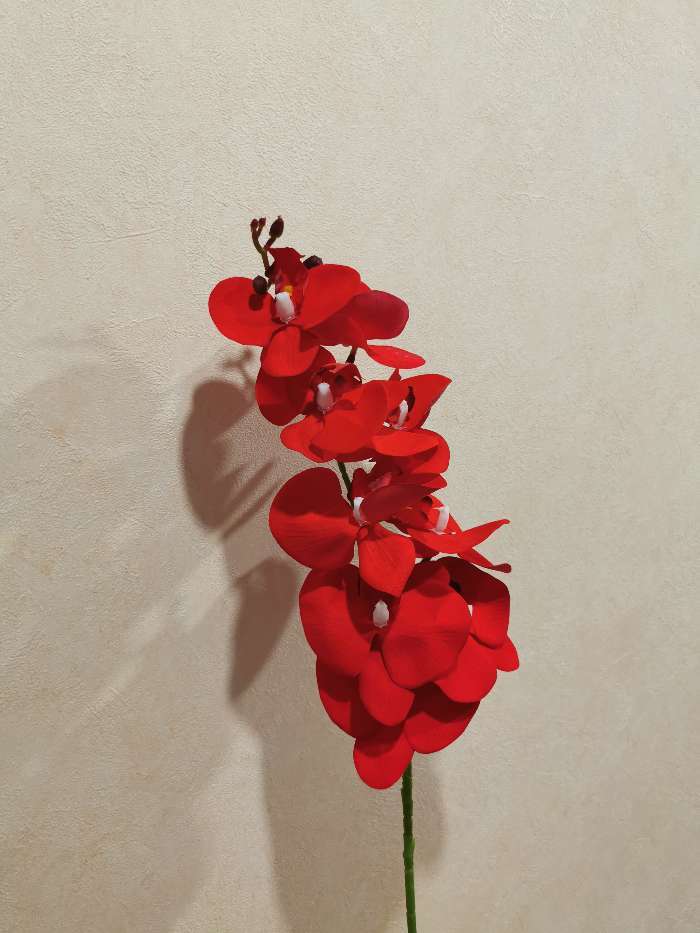 Фотография покупателя товара Цветы искусственные "Орхидея фаленопсис бархатистая" 10х90 см, белый - Фото 1