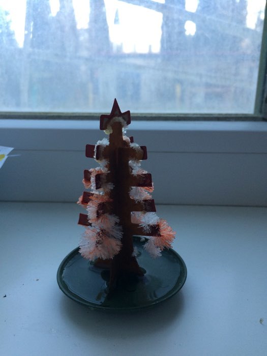 Фотография покупателя товара Набор для выращивания кристалла «Волшебное дерево» цвет красный - Фото 28