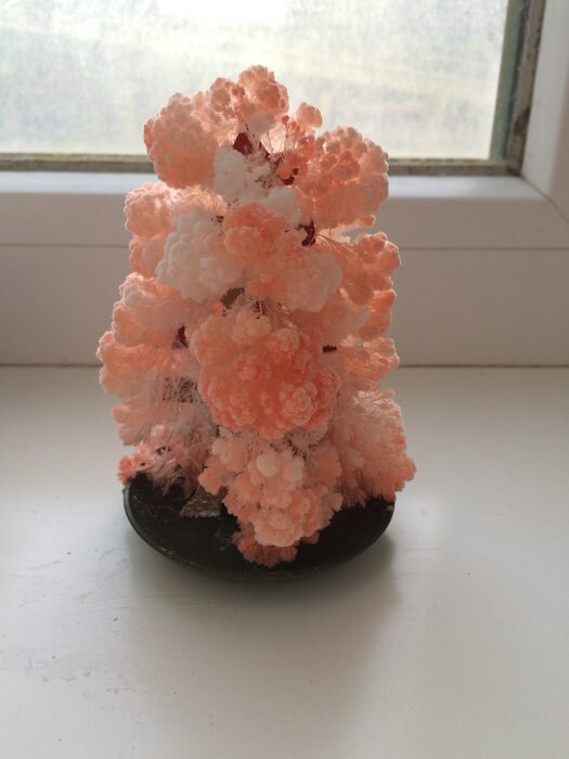 Фотография покупателя товара Набор для выращивания кристалла «Волшебное дерево» цвет белый - Фото 25