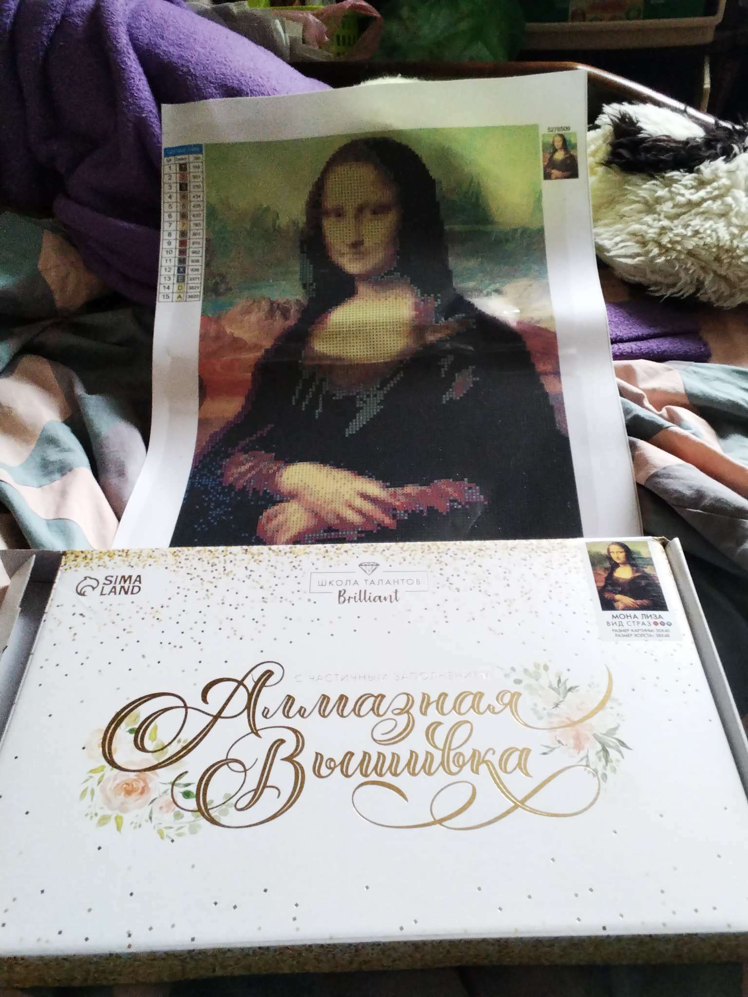 Фотография покупателя товара Алмазная мозаика с частичным заполнением «Мона Лиза» 30х40 см - Фото 1