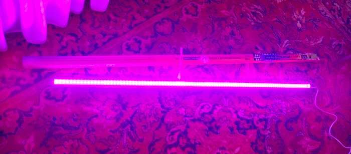 Фотография покупателя товара Фитосветильник для растений Luazon, светодиодный, 10 Вт, 600 мм, IP20, 220 В, мультиспектральный - Фото 8