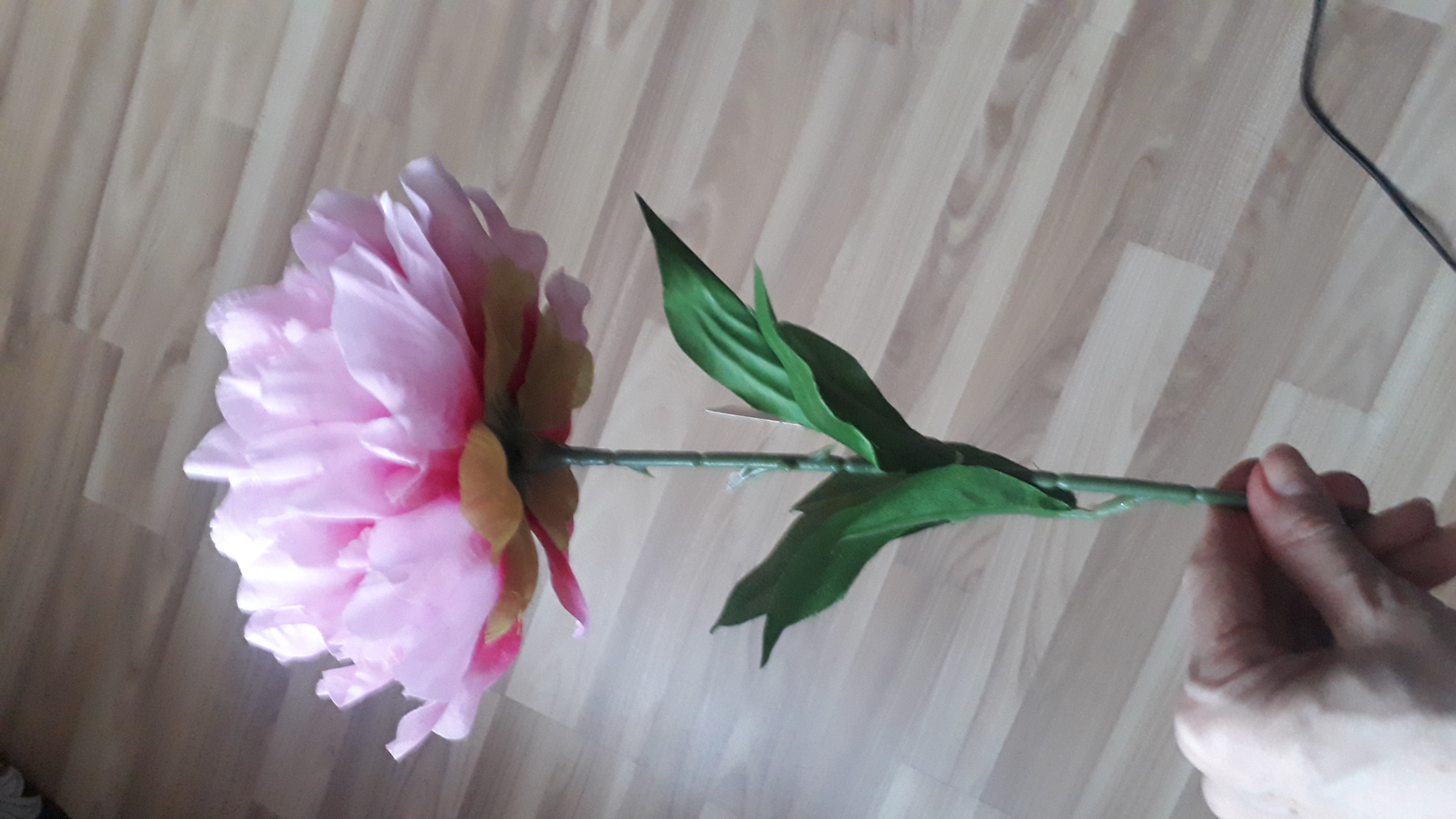 Фотография покупателя товара Цветы искусственные "Пион бархатный" 15х55 см, розовый - Фото 2