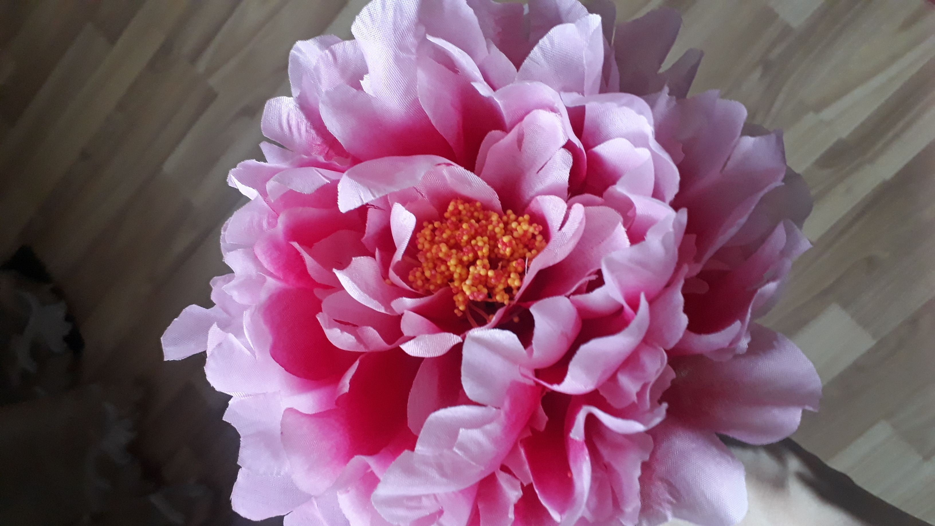 Фотография покупателя товара Цветы искусственные "Пион бархатный" 15х55 см, розовый - Фото 1
