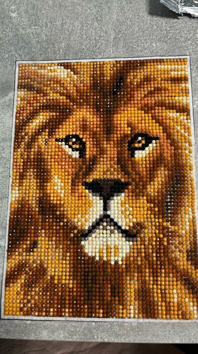 Фотография покупателя товара Алмазная мозаика с полным заполнением на холсте «Лев», 15 х 21 см