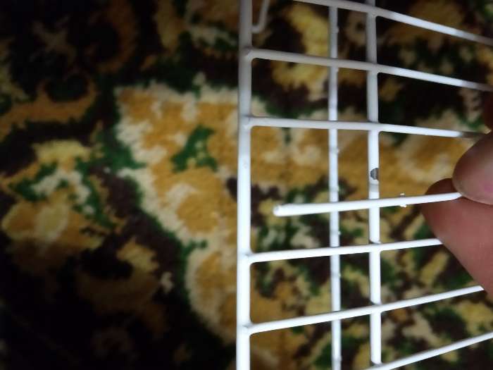 Фотография покупателя товара Клетка для грызунов "Пижон" №3, с 2-я этажами, укомплектованная, 33 х 24 х 28 см, рубиновая - Фото 20