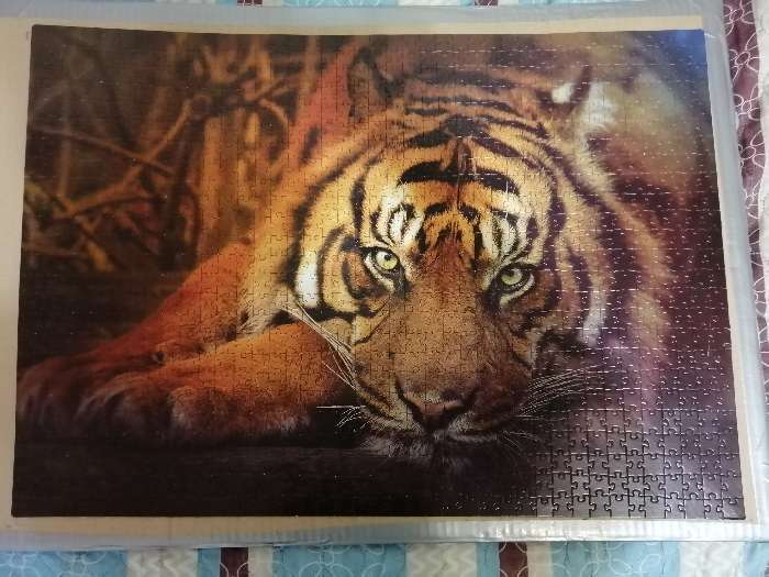 Фотография покупателя товара Пазл «Сибирский тигр», 1000 элементов - Фото 2