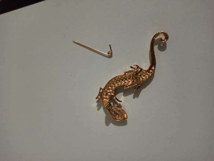 Фотография покупателя товара Брошь «Ящерица» узкая, цвет белый в золоте - Фото 1