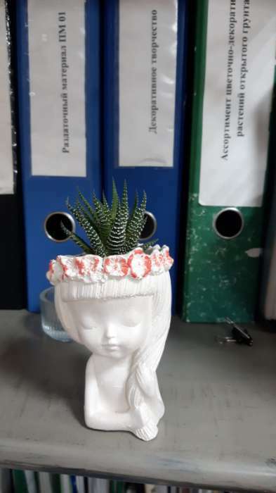 Фотография покупателя товара Фигурное кашпо для цветов «Девушка с косой», 80 мл, 11×8×8 см, гипс, белое - Фото 9