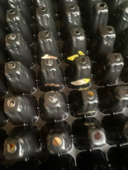 Фотография покупателя товара Кассета для выращивания рассады Greengo на 128 ячеек, по 15 мл, пластиковая, чёрная, 54 × 28 × 5 см - Фото 6