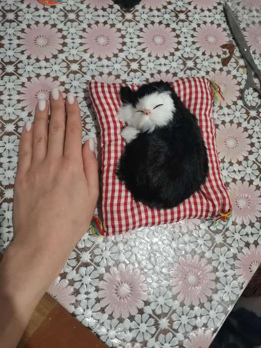 Фотография покупателя товара Игрушка на панель авто, кошка на подушке, черно-белый окрас - Фото 1