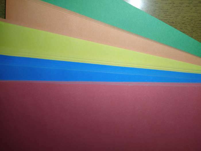 Фотография покупателя товара Бумага цветная А4, 250 листов «Палитра радуга» Интенсив, 80 г/м² - Фото 2