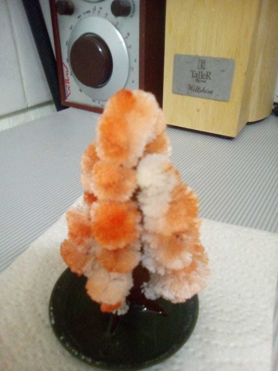 Фотография покупателя товара Набор для выращивания кристалла «Волшебное дерево» цвет красный - Фото 23