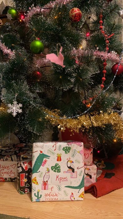 Фотография покупателя товара Бумага упаковочная глянцевая «Новогодние фламинго», 70 × 100 см - Фото 1
