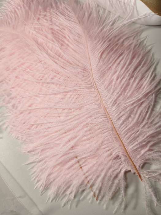 Фотография покупателя товара Перо декоративное страуса "Розовый зефир" h=15-20 см - Фото 1