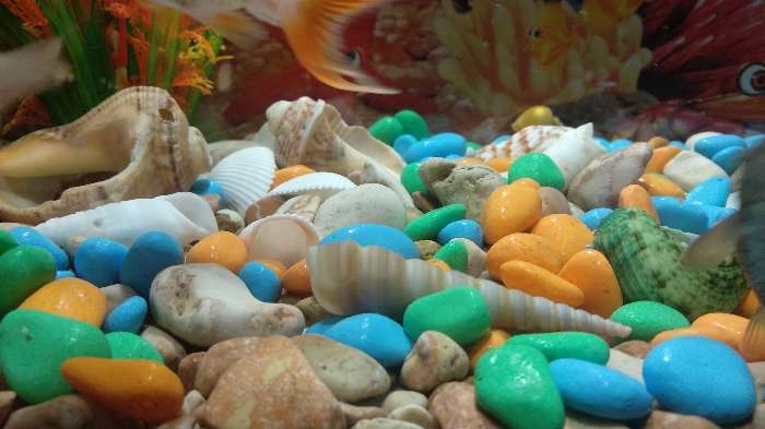Фотография покупателя товара Грунт для аквариума "Галька цветная, оранжевый-салатовый-голубой" 800г фр 8-12 мм